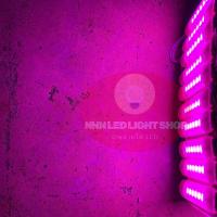 ราคา ไฟโมดูลLED6ชิป 12 24V ใช้เป็นไฟส่องป้าย ส่องพื้น ไฟหรี่ไฟเบรก ไฟถอย ไฟตกแต่ง ไฟอเนกประสงค์ รถยนต์ รถบรรทุก รถมอไซต์ ไฟหม้อแบต จำนวน1ชิ้น (19721845367)