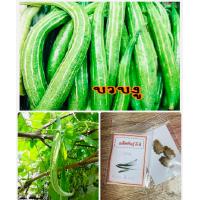 ราคา เมล็ดพันธุ์ บวบงู บวบ 10แถม1คละอย่างได้ (9086701557)