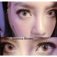 ราคา คอนแทคเลนส์ Kitty kawaii รุ่น Solotica Brown (20069174544)