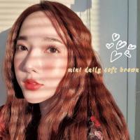 ราคา คอนแทคเลนส์ Mini Daily Soft Gray Brown ยี่ห้อ Montralens ค่าสายตาปกติ 600 (20076629531)
