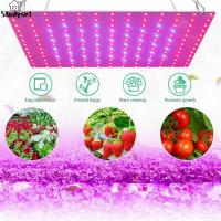 ราคา Studyset IN stock 169 Leds Grow Light Indoor Hydroponic Plant Vegetable Full Spectrum Energy Saving Growing Lamp (20070531570)