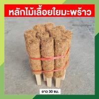 ราคา หลักไม้เลื้อยใยมะพร้าว ยาว 30 ซม เสาไม้เลื้อย เสาใยมะพร้าว ทนทาน ไม่ขึ้นรา ไม่กรอบ ใยมะพร้าว 100 (17445929948)