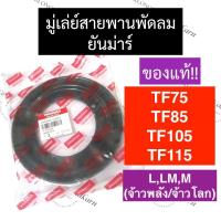 ราคา มู่เล่ย์พัดลม มู่เล่ย์สายพานพัดลม ยันม่าร์ TF75 TF85 TF105 TF115 มู่เล่ย์สายพานพัดลมTF75 มู่เล่ย์สายพานพัดลมTF85 มู่เล่ย์สายพานพัดลมTF105 มู่เล่ย์TF (18024807574)