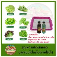 ราคา ชุดเพาะเมล็ดผักสลัดปลูกผักไฮโดรโปนิกส์ สำหรับมือใหม่ (10312747586)