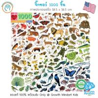 ราคา GM Kids ของแท้ USA พร้อมส่ง 6 จิ๊กซอว์ 1000 ชิ้น ตัวต่อ กระดาษหนาอย่างดี 1000 Pieces Jigsaw Puzzle Eeboo จิ๊กซอว์สำหรับผู้ใหญ่ KD0001 (20030730014)