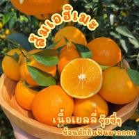 ราคา พร้อมส่ง 1KG ส้มเอฮิเมะสด สายพันธุ์ญี่ปุ่น เนื้อเยลลี่ช้อนตักกินฟินมากก (20900694030)