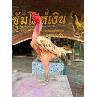 ราคา ไข่เชื้อชุด พิเศษ พ่อพันธุ์เจ้าหิน สายเลือด จาก กระดุมทองผ่าง่อน ยาวนานไม่น้อยกว่า17ปี เป็นไก่ที่มีลีลา พลังแข้งโหดๆ แม่น หูตา หัวเป็น เตะตลอดครับ เลี้ยงออกชนโดย หมวดเอ๋ แห่งโล่ห์เงิน ประจวบฯ พัฒนาโดย