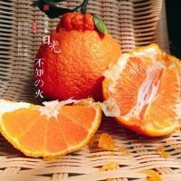 ราคา ส้มจุก ลูกใหญ่ 1kg พรี่เมี่ยม เกล็ดส้มใหญ่มาก ฉ่ำปากสุดๆ อร่อยๆพร้อมส่ง (20962560360)