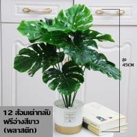 ราคา ระดับ 9A จําลอง ต้นไม้ปลอม ต้นไม้ตกแต่งบ้าน 12 18ใบไม้ สูง 50 70 cm ฟรี กระถางดอกไม้ ต้นไม้ประดิษฐ์ ต้นไม้ประดับ (21121836226)