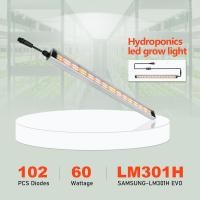 ราคา 60W SamsungLM301H EVO Full Spectrum Hydroponic LED Grow Light ไฟปลูก 3000K 5000K ไฟปลูกต้นไม้ โคมไฟตู้ปลา (20488508096)