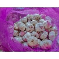 ราคา กระเทียมจีนหัวใหญ่ ขนาด 1 กก (20806378967)