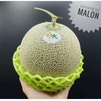 ราคา แตงเมล่อนพันธุ์ญี่ปุ่น เนื้อเขียว เนื้อส้ม Japanese Melon メロン 1ลูก THAI 1 5KG UP ลดพิเศษ Cantaloupe แคนตาลูปญี่ปุ่น แตงญี่ปุ่น แตงเมล่อนญี่ปุ่น (10457597595)