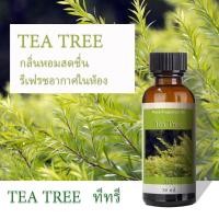 ราคา น้ำมันหอมระเหย 30 มล น้ำหอมเครื่องพ่นไอน้ำ พร้อมส่งทุกกลิ่น น้ำหอมกลิ่นโรงแรมหรู สำหรับเตาอโรม่า เครื่องพ่นไอน้ำ (20768230164)