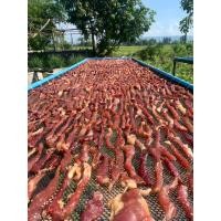 ราคา หมูแดดเดียวร้านดัง อร่อยกลมกล่อมขนาด500กรัม (21055068149)