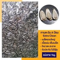 ราคา เม็ดทานตะวันใหญ่ เอป้อม 1000 กรัม COD (20539472619)