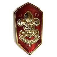 ราคา ลูกเสือ เข็มลูกเสือโลกครู เข็มผู้กำกับ รองผู้กำกับ (19590088612)