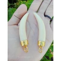 ราคา เขี้ยวงาช้าง10มิลแท้100 1ชิ้น (18845576183)