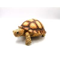 ราคา Baby Sulcata figurine โมเดลเต่าซูลคาต้า เรซิ่น โมเดลเต่าเรซิ่น ขนาด 10x7x5 ซม (2320350173)