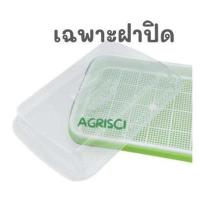 ราคา ถาดเพาะผักต้นอ่อนไร้ดิน ถาดเพาะผักต้นอ่อน ต้นอ่อนทานตะวัน ต้นอ่อนข้าวสาลี ต้นอ่อนผักบุ้ง โต้วเหมี่ยว ไควาเระ ถั่วงอก หญ้าแมว (21097847165)