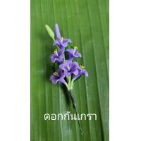 ราคา ดอกไม้เสียบผม ช่อดอกกันเกรา ดอกไม้ดินประดิษฐ์ (20854030381)