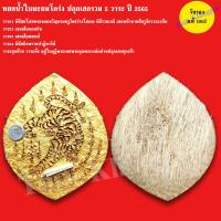 ราคา หยดน้ำ เสือหัวขาด ตัวที่ 6 แผ่นหนัง ส หลวงพ่อไฉน ฉนฺทสาโร ปี 2565 (17159428679)