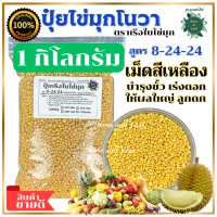 ราคา ปุ๋ยสูตร 8 24 24 ปุ๋ยไข่มุกโนวา ตราเรือใบไข่มุก ช่วยให้ขั้วเหนียว เร่งดอก ผลใหญ่ ลูกดก เม็ดปุ๋ยสีเหลือง พืชดูดกินธาตุอาหารได้ยาวนานและสม่ำเสมอ สามารถเจริญเติบโตอย่างต่อเนื่อง (21241693287)