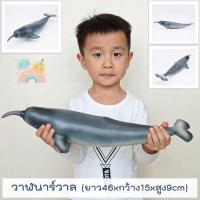 ราคา COD โมเดลสัตว์ทะเลตัวใหญ่ พร้อมส่ง ไซส์จัมโบ้ ไม่บาดมือ ขนาดใหญ่ โมเดลสัตว์ทะเล โมเดลปลาฉลาม โมเดลวาฬ Marine Animal (19189992613)