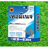 ราคา เทอมีเนจ ยาเก็บหญ้าข้าวนก พุ่มพวง ดอกขาว เทอมีเนจ (16437327446)
