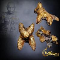 ราคา ประกันแท้ วัวธนู หลวงพ่อพุฒ วัดกลางบางพระ จ นครปฐม เนื้อครั่งพุทรา ปิดทองเดิมๆ ปี 2533 (20851329072)