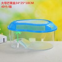 ราคา ตู้ปลา กล่องใส่เต่า กล่องใส่ปลา ขนาดใหญ่ กล่องใส่หนูแฮมเตอร์ ถูกมาก ตู้ปลากัด (20809350862)