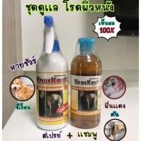 ราคา knockout เเก้ขี้เรื้อน ขี้เรื้อนหมา ขี้เรื้อนเเมว เเก้เชื้อราหมา เเก้เชื้อราเเมว เเก้คัน ผิวเเพ้ง่าย ชุดเเชมพู สเปรย์ (17254833468)