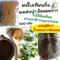 ราคา ผงเฮนน่า ผงใบเทียนกิ่ง ย้อมสีผม ปิดผมขาว Organic100 สมุนไพร ธรรมชาติ คุณภาพ ใบกาว Henna ปลอดภัย บำรุงผม ผมแข็งแรง ย้อมผมหงอก ไม่มีสารเคมี (18996533800)