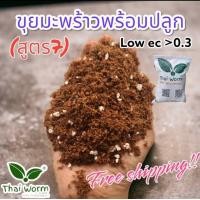 ราคา ขุยมะพร้าว มะพร้าวสับ แช่ ล้าง สารแทนนิน อบฆ่าเชื้อแล้ว Thaiworm coco (20579637257)