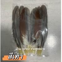 ราคา ขนต่อปีกไก่ขนาดใหญ่พิเศษ AAA ปีกไก่ ขนไก่ สีเทา (19645351127)