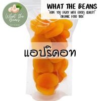 ราคา แอปริคอท อบแห้ง ขนาด 500 กรัม Apricot แอพริคอท ตุรกีอบแห้ง (20449062131)