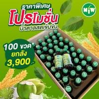 ราคา โปร ยกลัง 100 ขวด Miw หัวเชื้อน้ำตาลสด ไม่มีแอลกอฮอล์ ไม่ผสมยาแก้ไอ สินค้าพร้อมส่ง (18351440692)