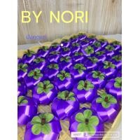 ราคา เหรียญโปรยทาน มังคุด งานตัวเปล่า ไม่มีเหรียญ เหรียญโปรยทานงานบวช พร้อมส่ง มีของแถมทุกออเดอร์ (19921998525)