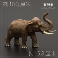 ราคา ของเล่นสัตว์จำลองสำหรับเด็กชุดโมเดลสัตว์ป่าช้างเนื้อแข็งไซส์ใหญ่ช้างแอฟริกาสวนช้างเอเชีย (12355003183)