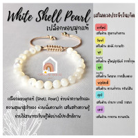 ราคา สร้อยข้อมือ เปลือกหอยมุกแท้ สีขาวมุก ร้อยข้อมือเชือก ปรับขนาด ขนาด 6 มิล กำไลมุก สร้อยมุก สร้อยมุกแท้ ข้อมือมุก White Shell Pearl (12910350870)