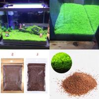 ราคา 100 เมล็ดหญ้าน้ำ สำหรับปลูกตกแต่งตู้ปลา ตู้ไม้น้ำ Aquarium Plants Seed ช่วยสร้างระบบนิเวศในตู้ปลาให้เหมือนกับธรรมชาติ พืชน้ำตกแต่งตู้ปลา (11415276078)