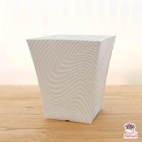 ราคา กระถางม้าลายปากบาน 5 นิ้ว แคคตัส กระบองเพชร ไม้อวบน้ำ Cactus Succulent (4527790735)