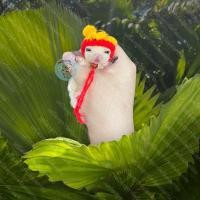 ราคา V หมวกจิ๋ว หมวกไหมพรม หมวก สัตว์เล็ก ชูการ์ กระรอก แฮมสเตอร์ ดอร์เมาส์ แฟตเทล เจอบิล ชูก้า เสื้อ ชุด เสื้อผ้า (14907033506)