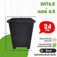 ราคา กระถาง จานรอง กระถางต้นไม้ กระถางสี่เหลี่ยม จานรองสี่เหลี่ยม เบอร์ 6 6 5 7 นิ้ว สีดำ สีขาว สีเทา (20855003200)