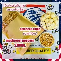 ราคา เมล็ดข้าวโพดpopcorn เมล็ดป๊อปคอร์น ข้าวโพดป๊อปคอน ข้าวโพดทำป๊อปคอร์น mushroompopcorn ข้าวโพดมัชรูม ป๊อบคอร์นมัชรูม เมล็ดข้าวโพดมัชรูม ขนาด 2 Kg (19062861027)
