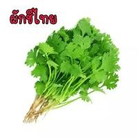 ราคา เมล็ดผักสวนครัว ถูกที่สุด งอกง่าย โตไว สามารถปลูกได้ทุกที่ เมล็ดผัก เมล็ดผักสวนครัว (15572762819)