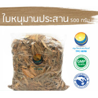 ราคา ใบหนุมานประสานกายแห้ง 500 กรัม 349 บาท อยากลงทุนสุขภาพ นึกถึงสมุนไพรท่าพระจันทร์ หนุมานประสานกาย ใบหนุมานประสานกาย (7478773988)