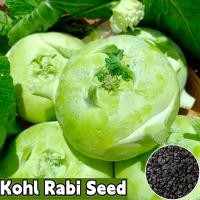 ราคา พร้อมส่ง เมล็ดพันธุ์ผักบุ้งที่ปลูกได้ง่าย เมล็ดผักบุ้งสด 100 บรรจุเมล็ดผักบุ้งออร์แกนิก 100 เมล็ด เมล็ดพืชผักบุ้งออร์แกนิก เมล็ดพืชผักบุ้งออร์แกนิก เมล็ดพืชผักบุ้งออร์แกนิก เมล็ดพืชผักบุ้งออร์แกนิก เ 