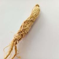 ราคา โสมแห้ง โสมจีน สำหรับต้มน้ำแกง ตุ๋นยาจีน บดผสมยา (21049106072)