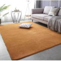 ราคา พรม พรมปูพื้นห้องนอน พรมปูพื้น พรมมินิมอล พรมตกแต่ง พรมขนสั้น พรม5ฟุต พรม 6ฟุต วัสดุกำมะหยี่ปะการัง (21204311212)