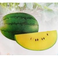 ราคา เมล็ดพันธุ์ แตงโมเหลือง 10 เมล็ด ตราเจียไต๋ แตงโม เมล็ดแตงโม แตงโมเหลือง (20161836805)